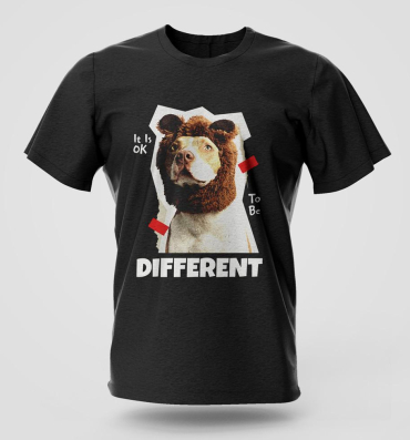 Its okay to be different T-Shirt